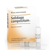 solidago comp 10f 2,2ml heel