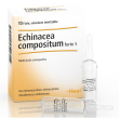echinacea comp s 10f ft heel