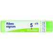 bo.ribes nigrum tubo  5ch