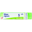 ribes nigrum 5ch granuli 4g