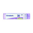 cinnabaris 30 ch tubo 2020