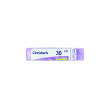 bo.cinnabaris  30ch gr