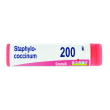 staphylo- coccinum 200 k dose 2020