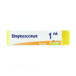 boiron streptococcinum mk gl 1g