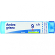 bo.ambra grisea 9ch tubo