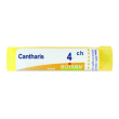 boiron cantharis 4ch - farmaco omeopatico 4 gr granuli multidose