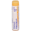 conium maculatu xmk gl bo