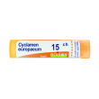 cyclamen europaeum 15 ch tubo 2020