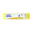 ledum palustre 4ch granuli