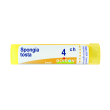 spongia tosta 4 ch tubo 2020