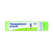 harpagophytum procum 5 ch tubo 2020