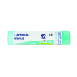 lachesis mutus 12 ch tubo 2020