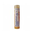 boiron phosphoricum ac 12ch gr