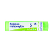 solanum malacoxylon 5 ch tubo 2020