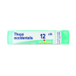 bo.thuya occident 12ch gr