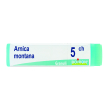 arnica montana 5 ch dose 2020