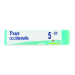 thuya occidentalis 5 ch dose 2020