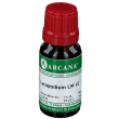 lycopodium 6lm gocce orali 10 ml arcana – rimedio omeopatico a base di licopodio per il benessere