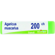 nux vomica 18lm 10ml gtt