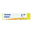 tarentula hispana 1 mk dose 2020