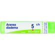 aranea diadema tubo  5ch
