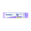 camphora 30 ch tubo 2020