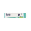 bo.candida alb 15 ch gr