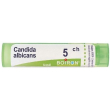 candida albican 5ch gr bo