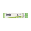 candida albicans 5ch gr