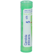 boiron candida albicans 5ch granuli 4 g