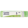 candida albicans 5ch gr