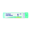 conium maculatum 6 ch tubo 2020