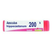aesculus hippocastanum boiron 200k globuli omeopatici monodose 1g