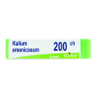 kalium arsenicosum 200 ch dose 2020
