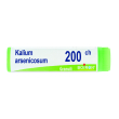 kalium arsenicosum 200ch gl