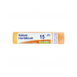 boiron kalium muriat 15ch gl