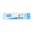 achillea millefol 9 ch tubo 2020