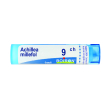 achillea millef 9ch gr