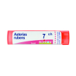 asterias rubens 7 ch tubo 2020