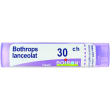 bothrops lanceolatus 30ch gr