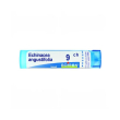 boiron echinacea angust 9ch gr 4g