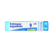echinacea angustifol 9 ch tubo 2020