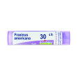 fraxinus americana 30 ch tubo 2020