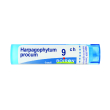 harpagophytum procum 9 ch tubo 2020
