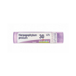 harpagophytum procum 30ch gr