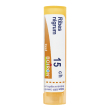 ribes nigrum 15ch gr bo
