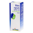 boiron ribes nigrum 15ch granuli omeopatici tubo