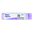 ribes nigrum 30ch granuli boiron