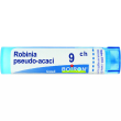 bo.robinia pseud  9ch gr
