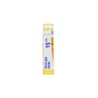 bo.spongia tosta 15ch gr